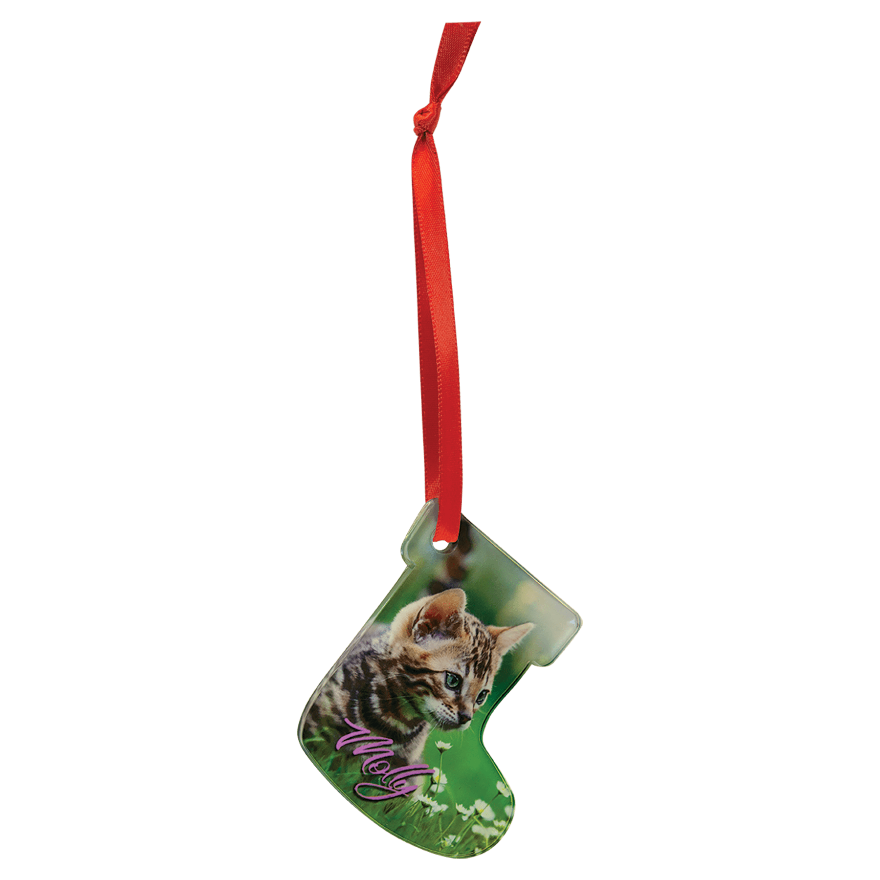 Acrylic Full Color Ornament